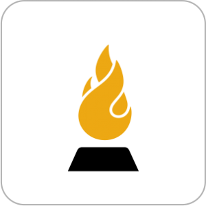 Insert Pellet Fireplaces & Stoves