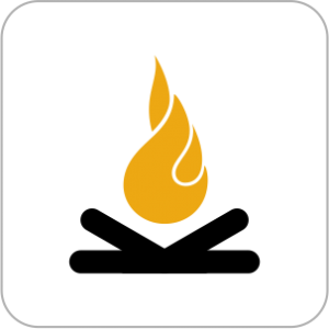 Insert Wood Burning Fireplaces & Stoves